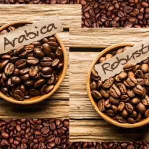 cafea arabica vs cafea robusta