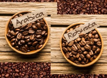 cafea arabica vs cafea robusta